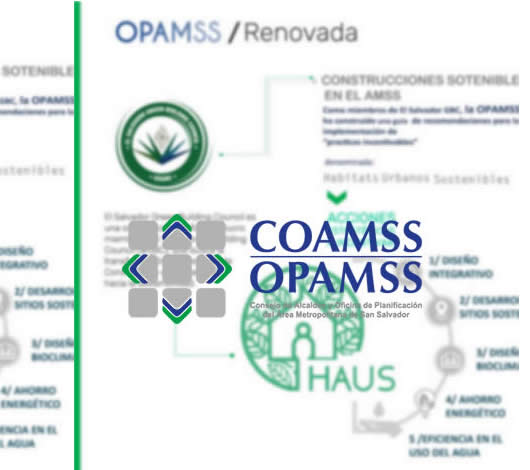 Gestiones en OPAMSS, VMVDU, ANDA y Otras